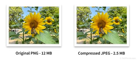 lossy image compression test|lossy compression image file formats.